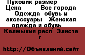 Пуховик размер 42-44 › Цена ­ 750 - Все города Одежда, обувь и аксессуары » Женская одежда и обувь   . Калмыкия респ.,Элиста г.